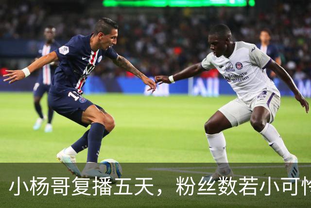小杨哥复播五天，粉丝数若小可怜，直播间冷到发霉